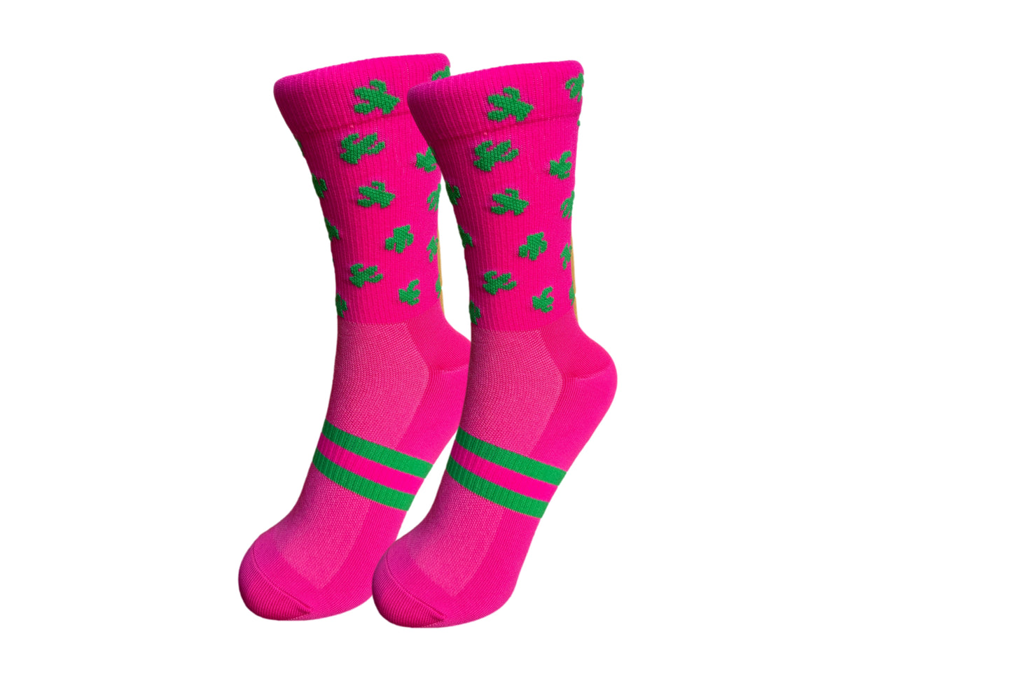Cactus 10th anniversary Sock  NEW 26/27 COLLECTION